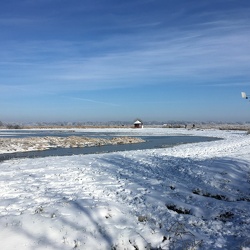 Winterspaziergang im Park Links der Weser